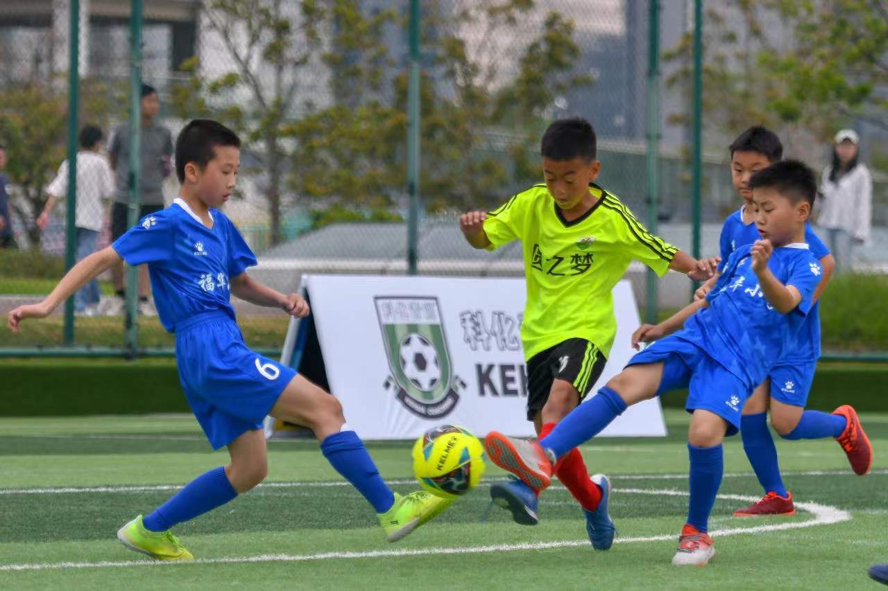 只依赖明星 只依赖明星