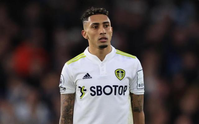 逐渐成为球 逐渐成为球