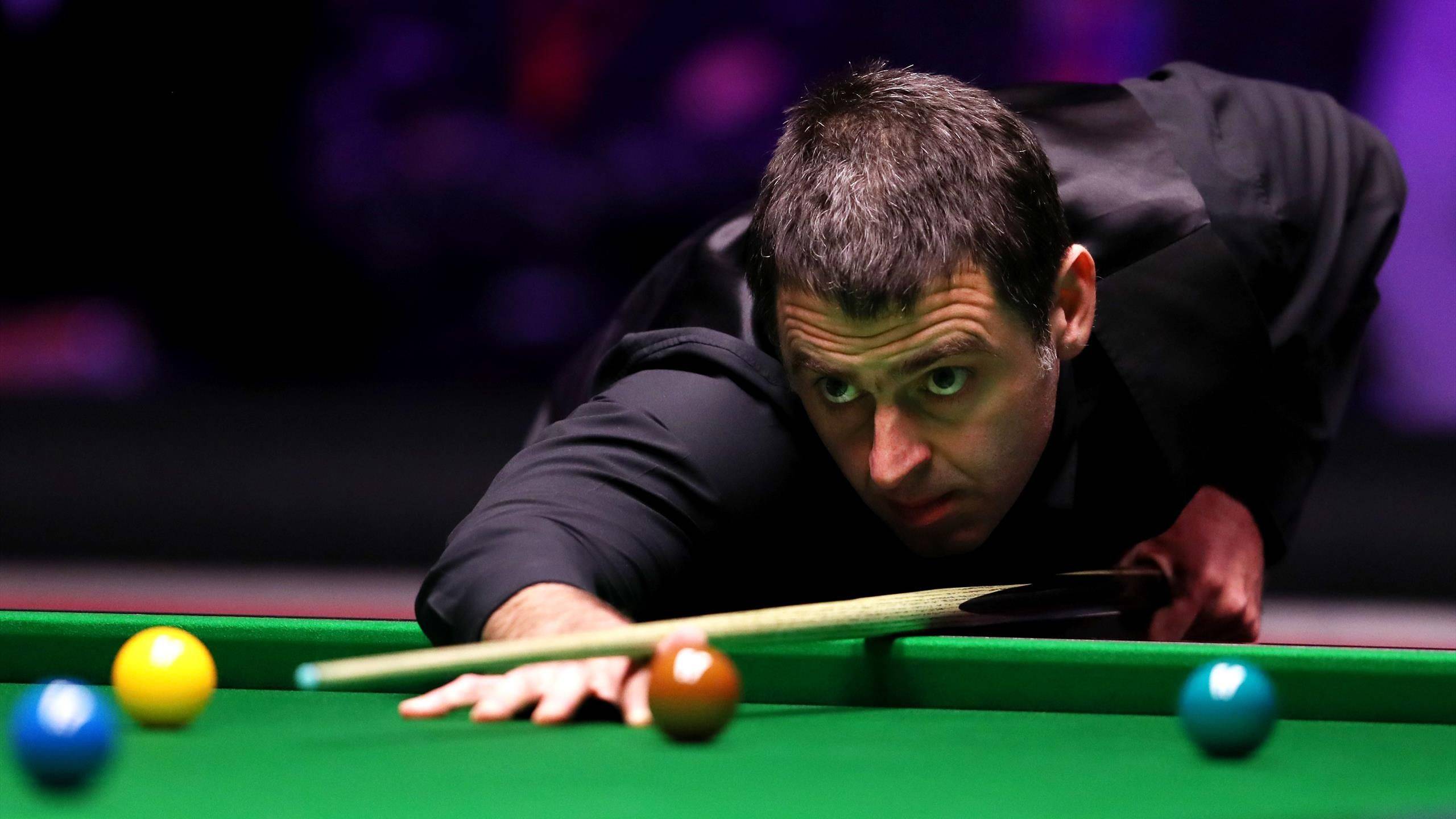 者拥有极佳 者拥有极佳