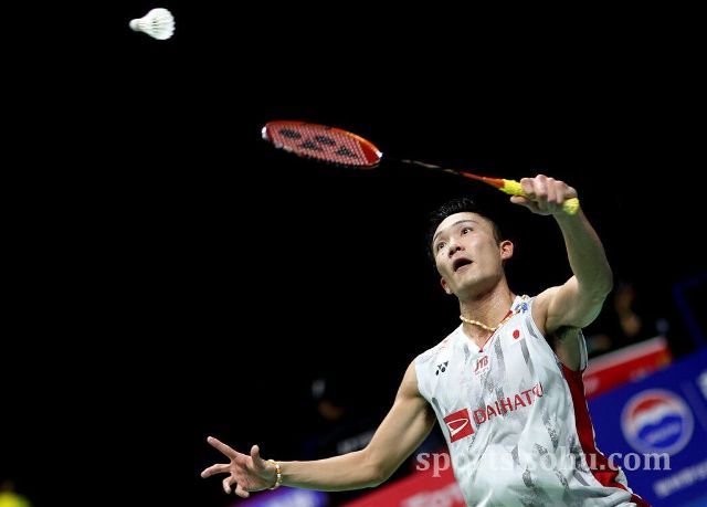 优化了其官 优化了其官