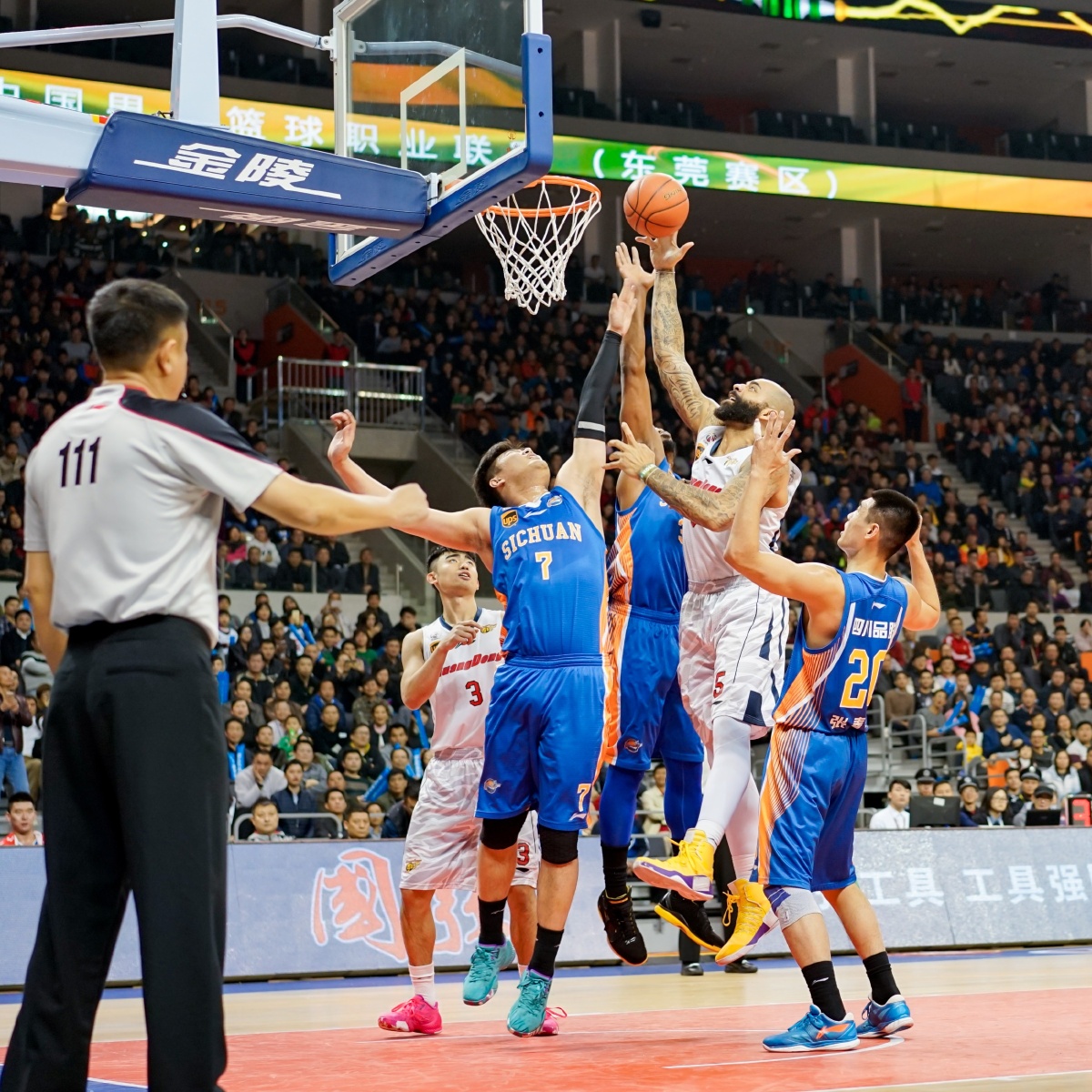 而是职业体 而是职业体