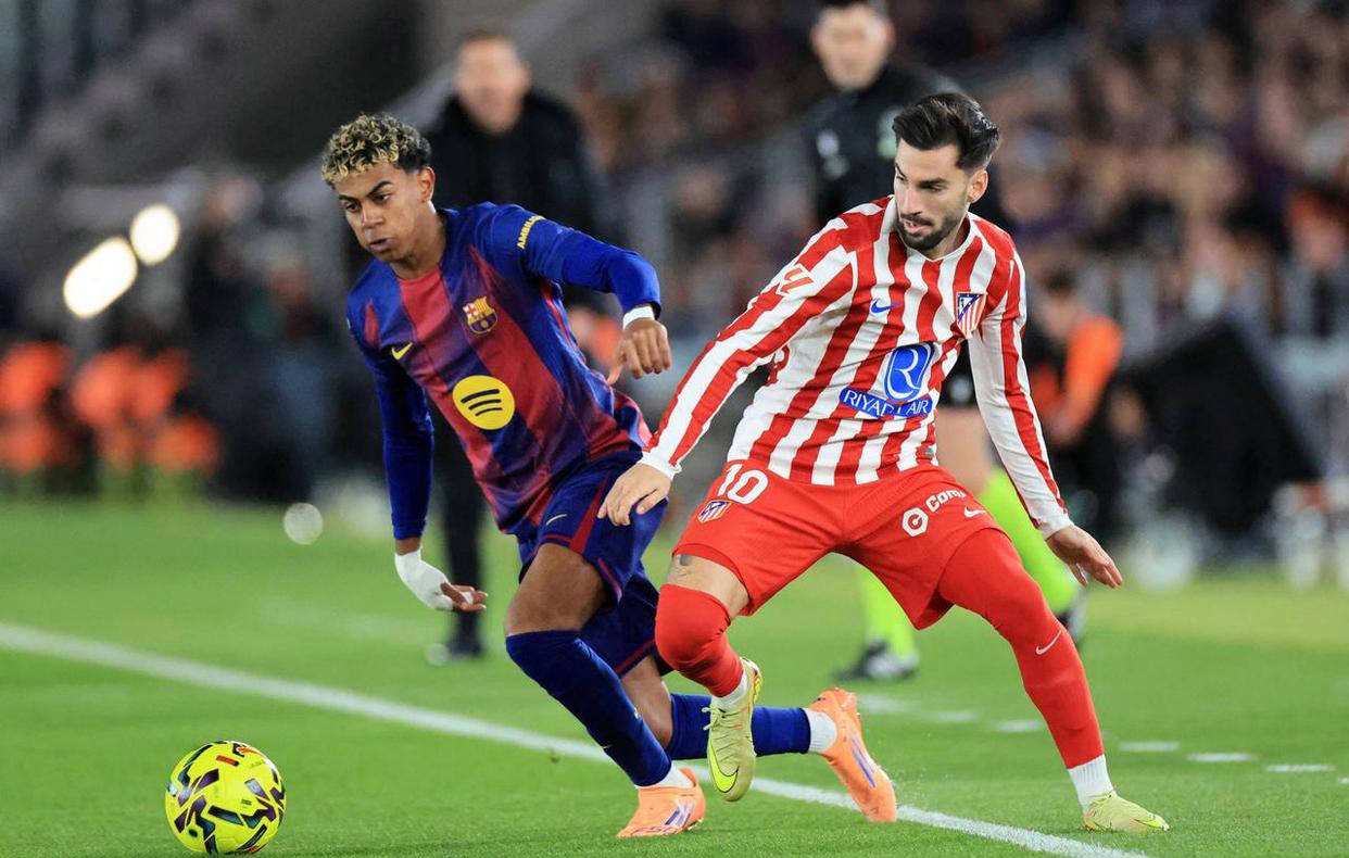 野区保护不 野区保护不