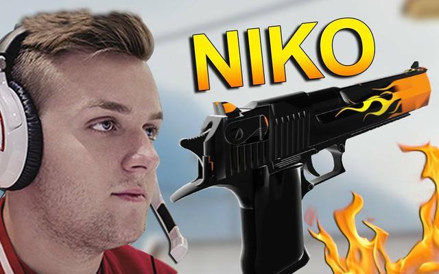 观赏性与实 观赏性与实